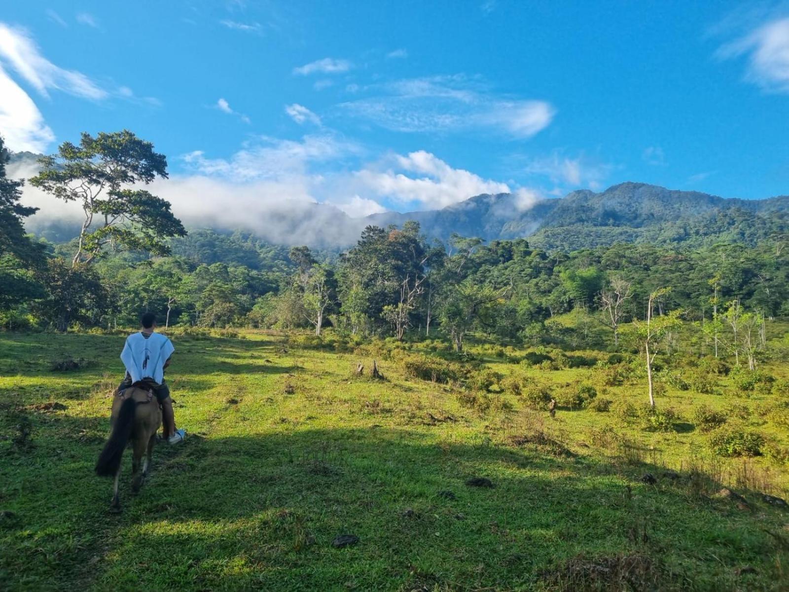 Rancho Porvenir Bed & Breakfast Mocoa Ngoại thất bức ảnh