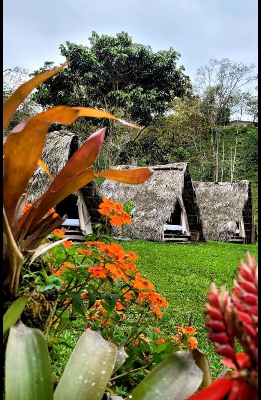 Rancho Porvenir Bed & Breakfast Mocoa Ngoại thất bức ảnh