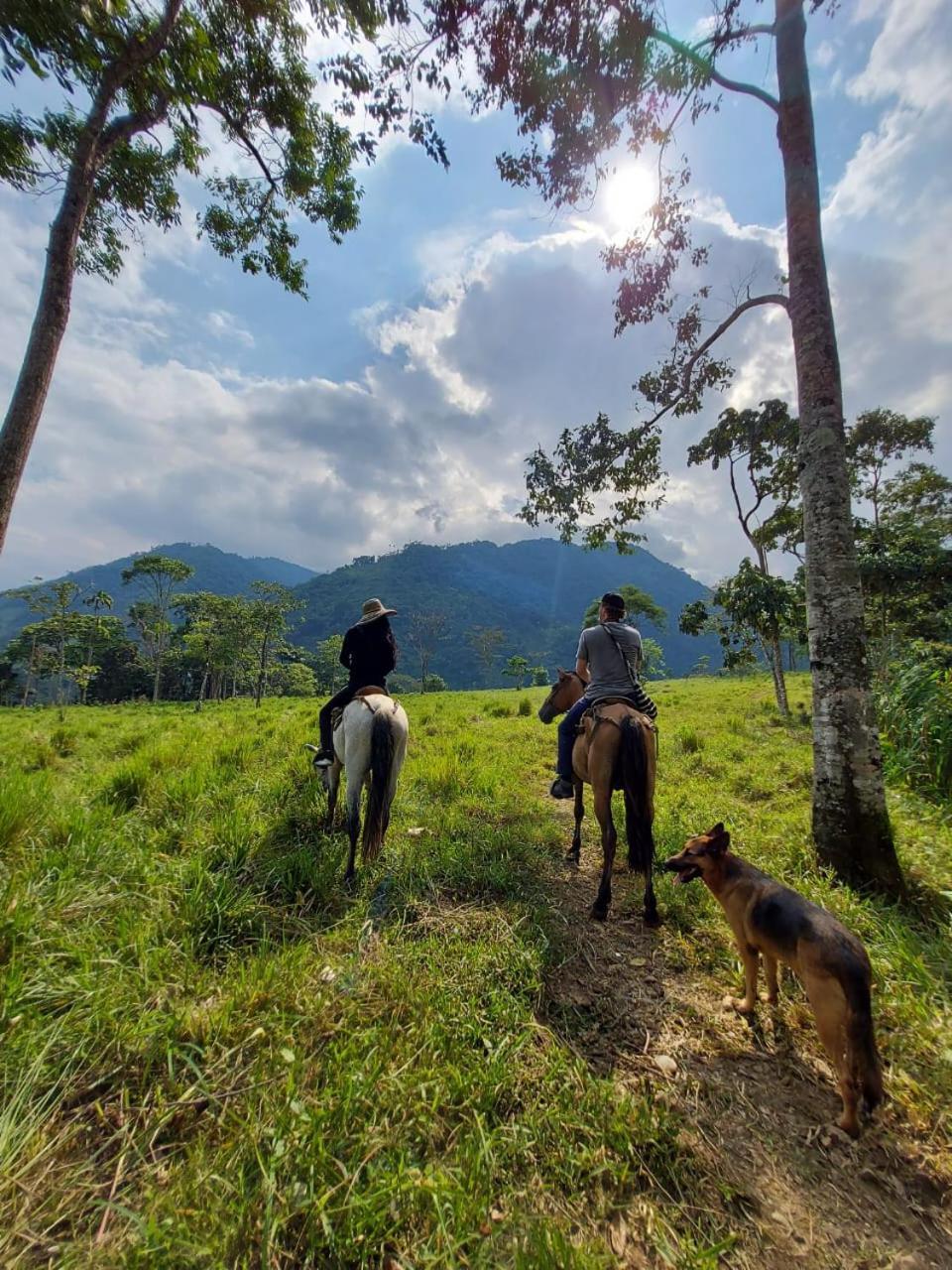 Rancho Porvenir Bed & Breakfast Mocoa Ngoại thất bức ảnh